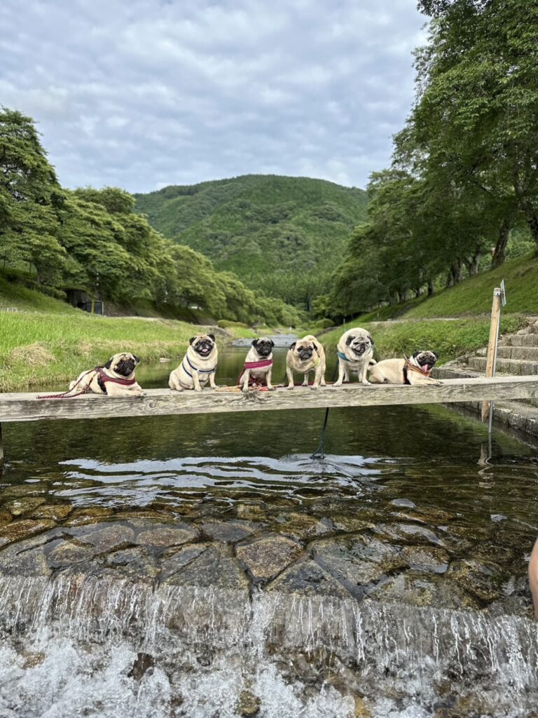 当時のメディア報道・掲載写真