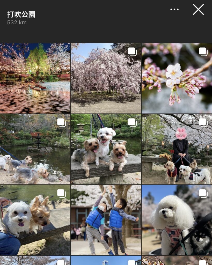 【鳥取県】打吹公園