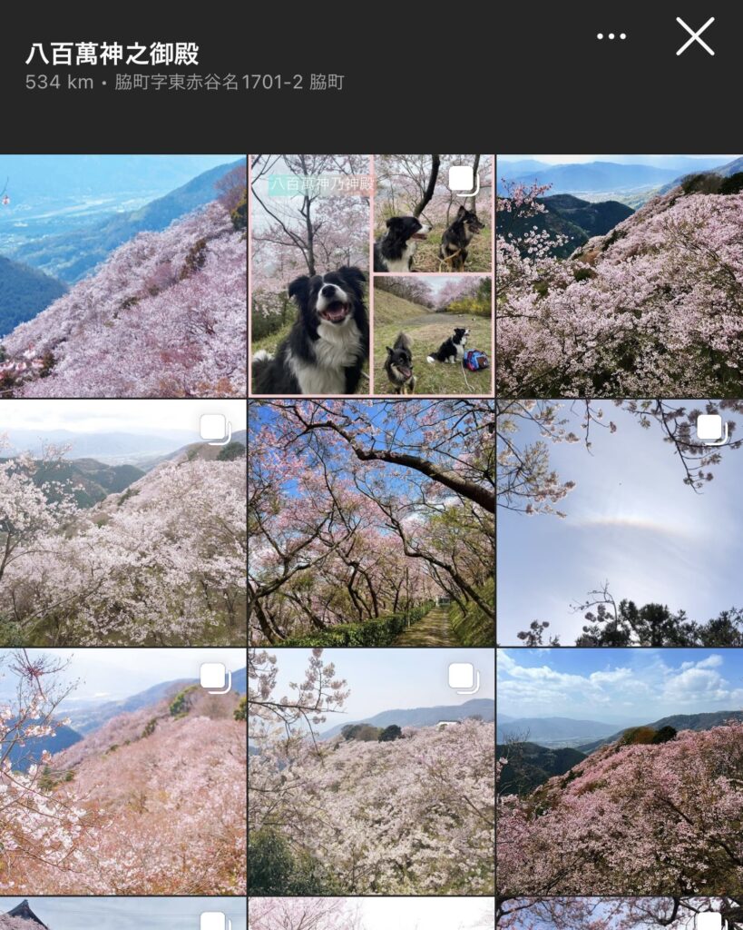 【徳島県】八百萬神之御殿