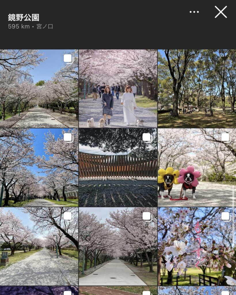 【高知県】鏡野公園