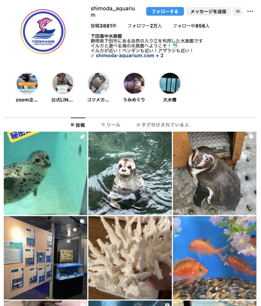 下田海中水族館
ペットとお出かけドライブ