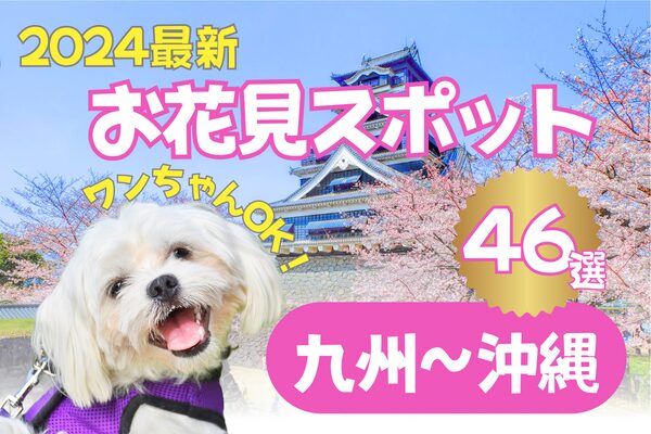 ハピプレ メディストペット 犬と行ける桜特集 九州沖縄イメージ写真