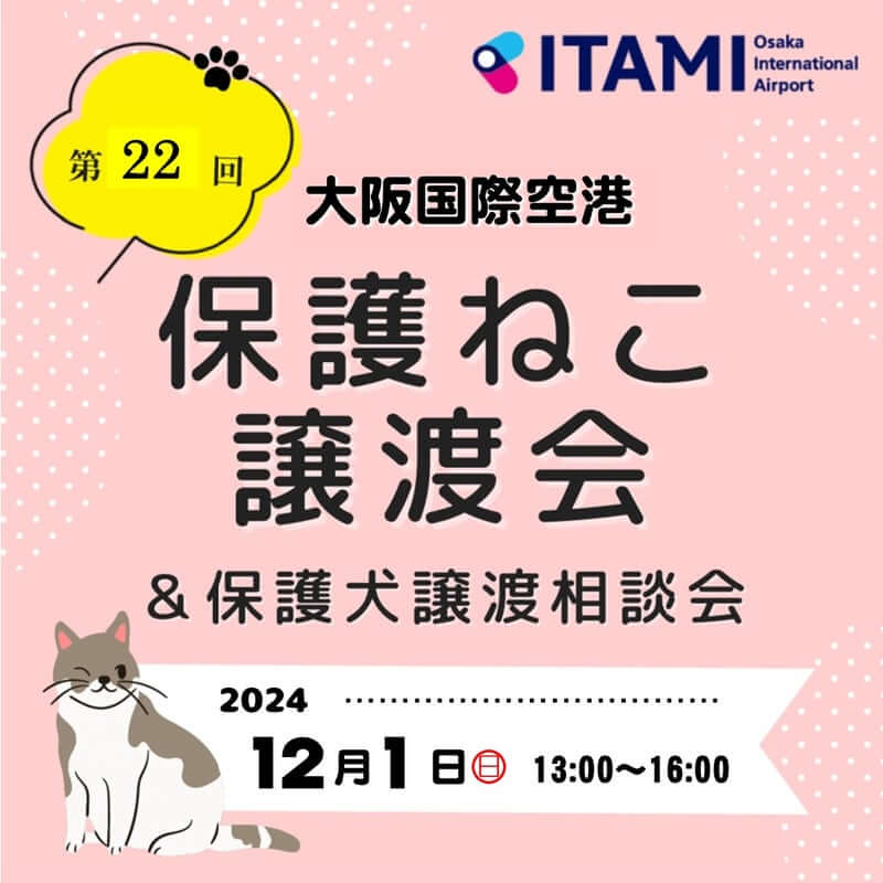 大阪国際空港 保護ねこ譲渡会