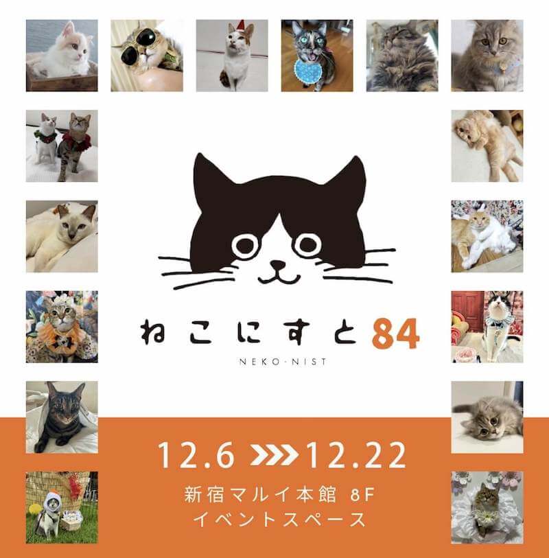 ねこにすと84　新宿マルイ本館