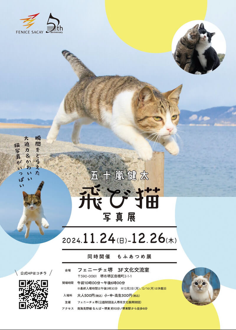 五十嵐健太 飛び猫写真展