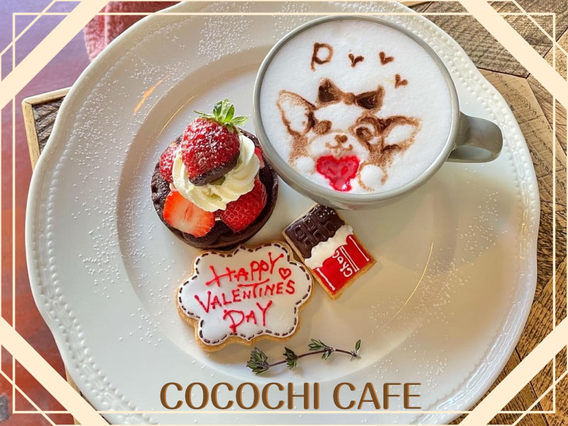 【アンバサダー・ぴーちゃんが行く！】「COCOCHI CAFE〜ココチカフェ」のご紹介！