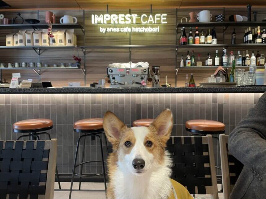 【アンバサダー・ラテちゃんが行く！】「IMPREST CAFE〜インプレストカフェ」のご紹介！