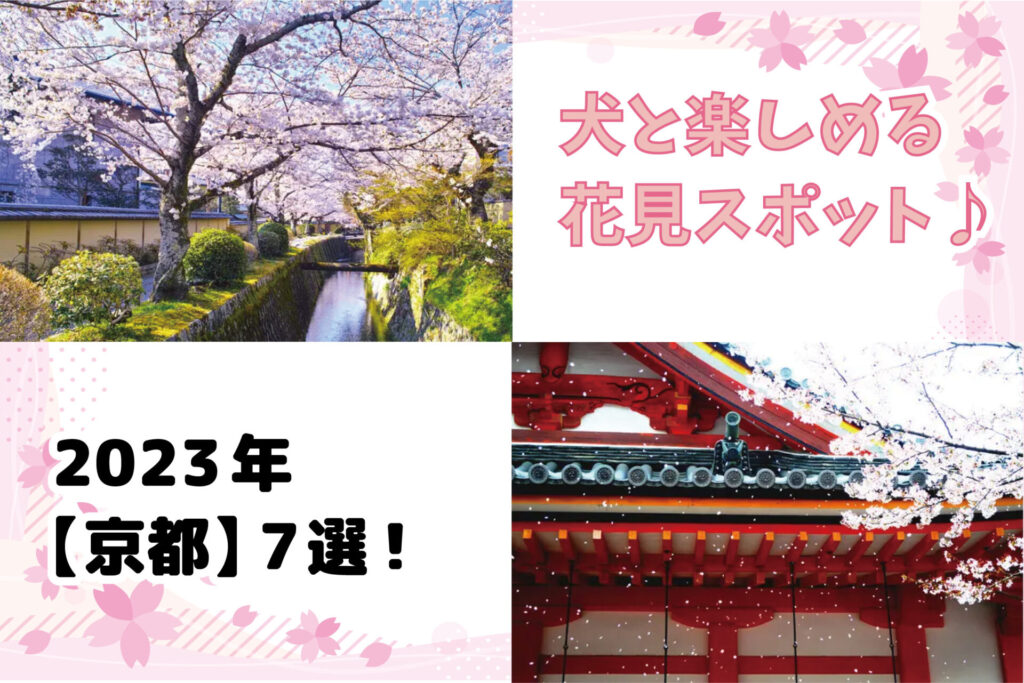 【2023年】犬と楽しめる「京都」のお花見スポット7選！散歩に出かけよう！