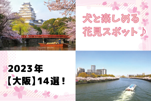 【2023年】犬と楽しめる「大阪」のお花見スポット14選！散歩に出かけよう！