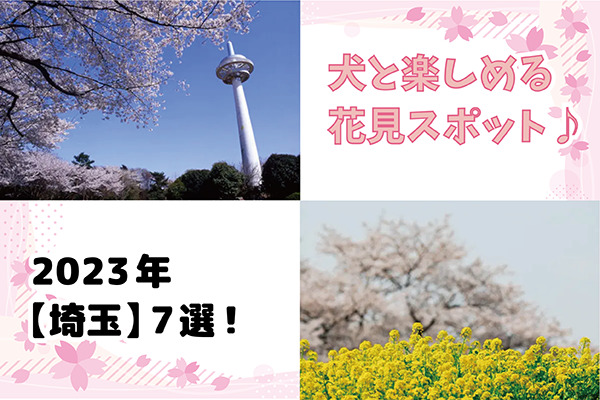 【2023年】犬と楽しめる「埼玉」のお花見スポット14選！散歩に出かけよう！