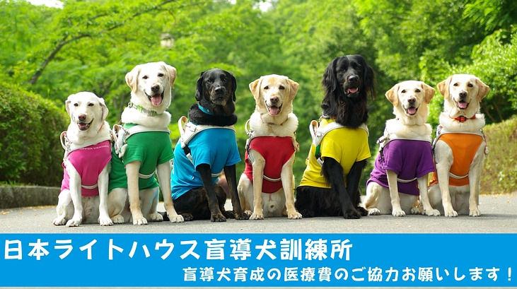 「社会で支え合う盲導犬育成を目指して」ライトハウス盲導犬訓練所