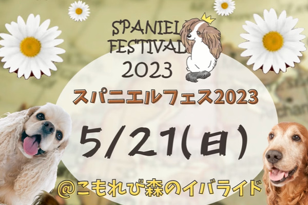 【茨城県】Spaniel Festival 2023