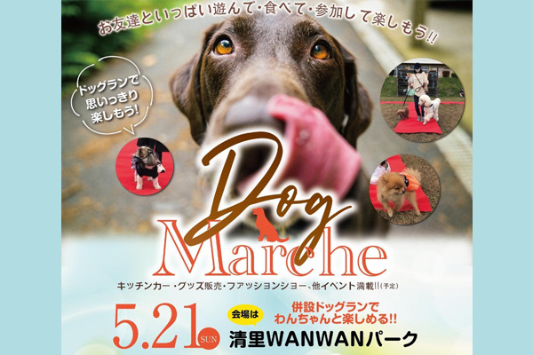 【山梨県】YATSUGATAKE Dog Marche vol.3