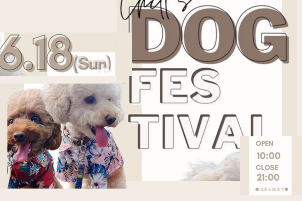 【京都府】第3回 chill’s dog festival