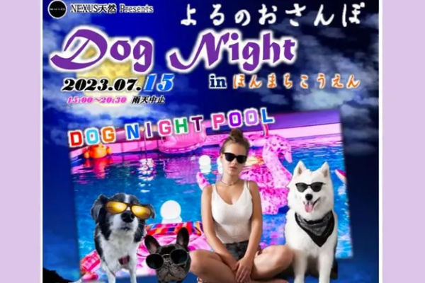 【和歌山県】よるのおさんぽ Dog Night in 本町公園