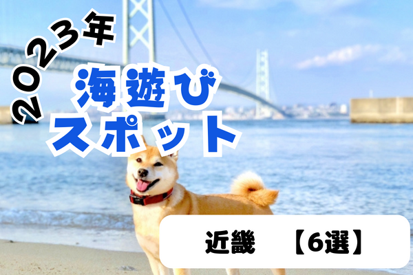 【2023年】近畿 海遊びスポット6選