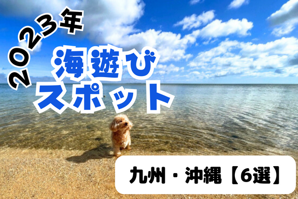 【2023年】九州・沖縄 海遊びスポット6選