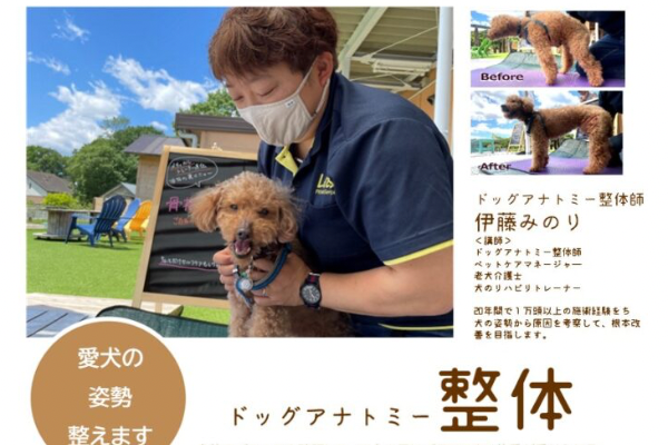 【栃木県】那須愛犬健康DAY