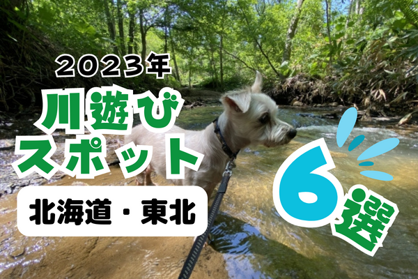【2023年】北海道・東北の川遊びスポット6選