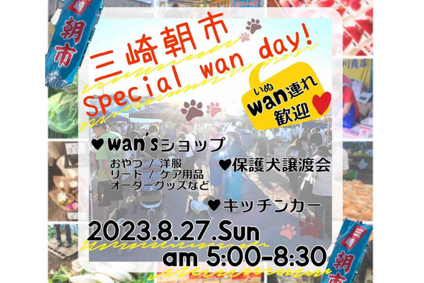 【神奈川県】三崎朝市 Special wan day!
