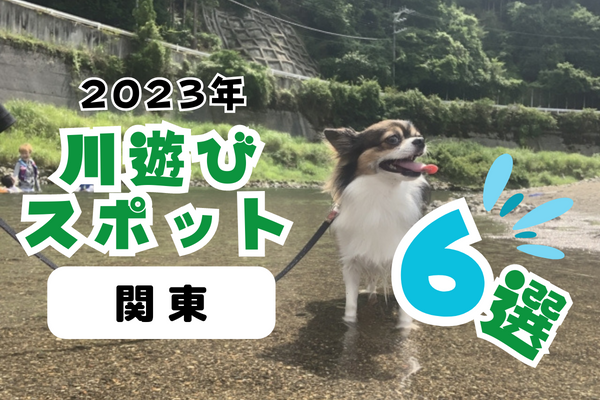 【2023年】関東の川遊びスポット6選
