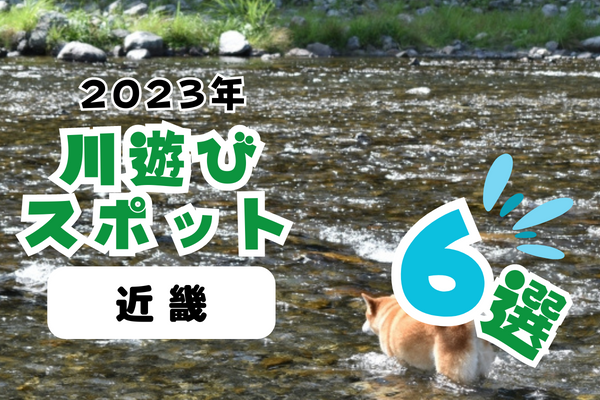 【2023年】近畿の川遊びスポット6選