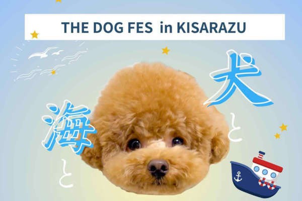 【千葉県】THE DOG FES vol.2 -犬と海と-