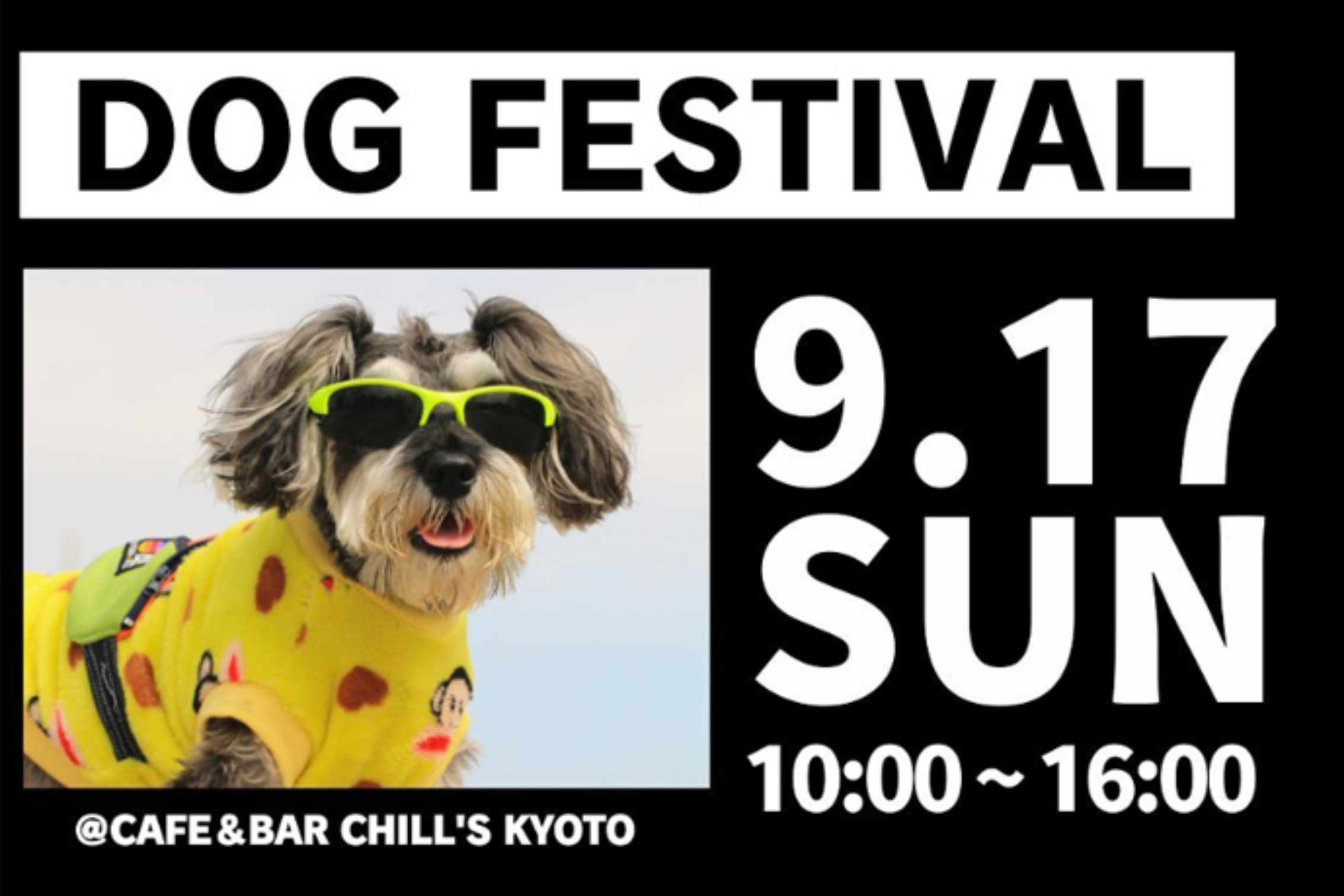 【京都府】第4回 chill’s dog festival