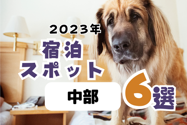 【2023年】中部の宿泊スポット6選