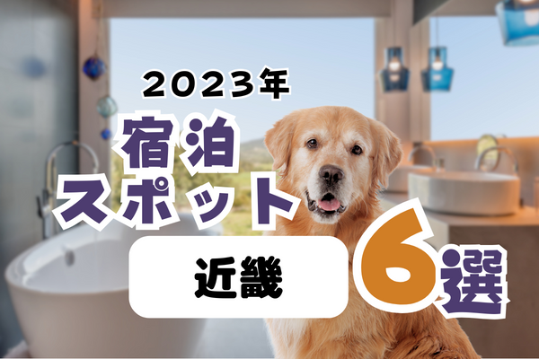 【2023年】近畿の宿泊スポット6選