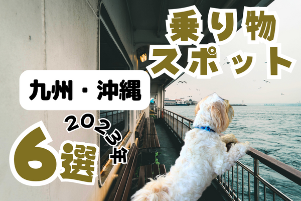 【2023年】九州・沖縄の乗り物スポット6選