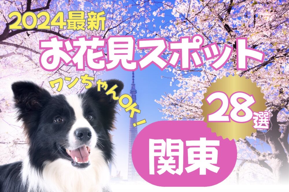 【2024年春の最新】犬とお花見スポット28選！メジャーから穴場まで！愛犬と桜を見に行こう！関東エリア
