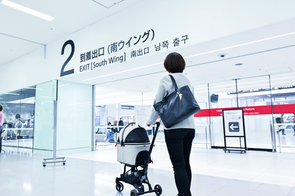 スターフライヤー「FLY WITH PET！」羽田空港でのシールロック解除場所「羽田第一ターミナル　１階　南ウイング 手荷物受取所」に向かう様子
