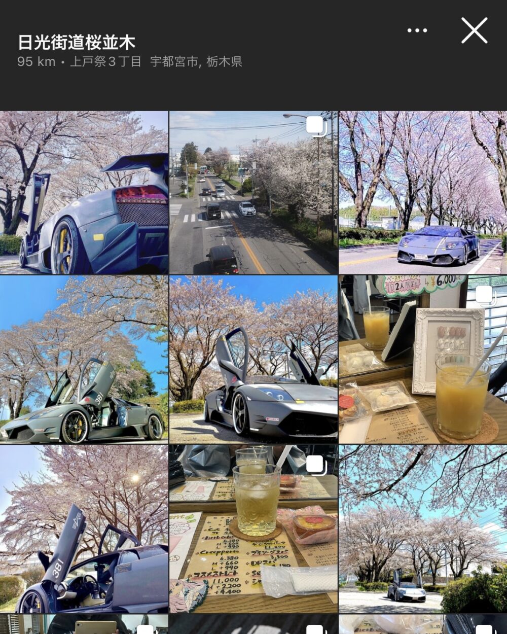 【栃木県】日光街道桜並木