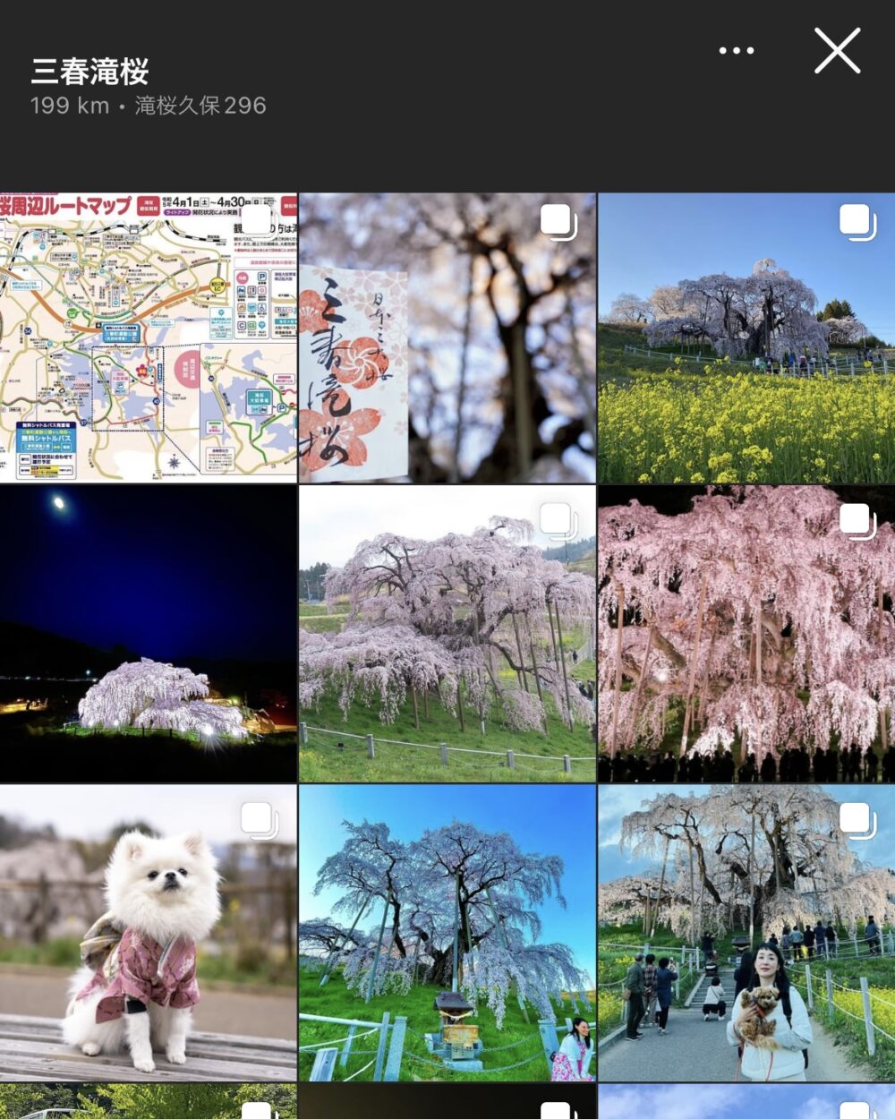 【福島県】三春滝桜