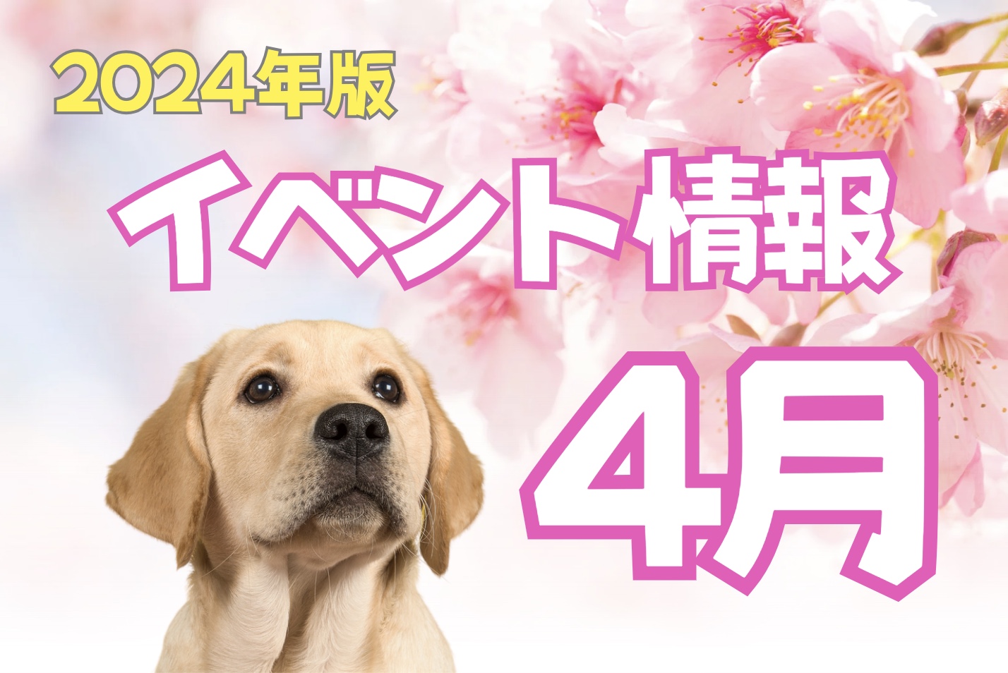 【2024年全国版】4月ワンちゃんイベント一覧！春の企画続々！愛犬と桜＆マルシェを楽しもう