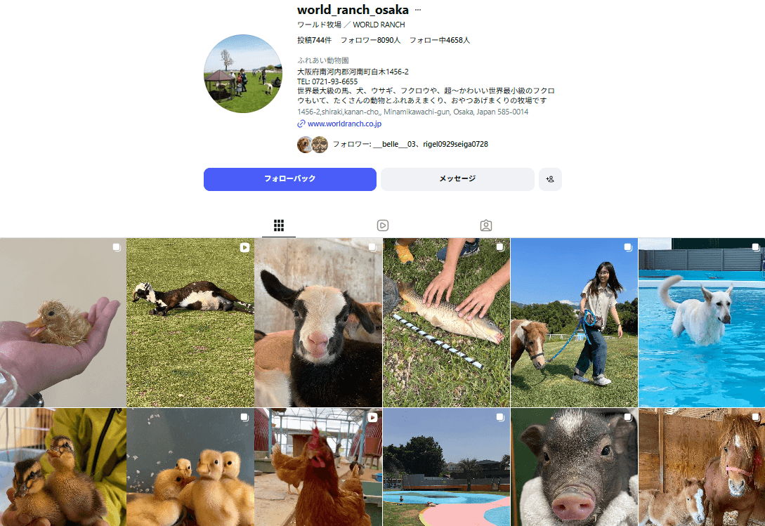 【大阪市】ワールド牧場