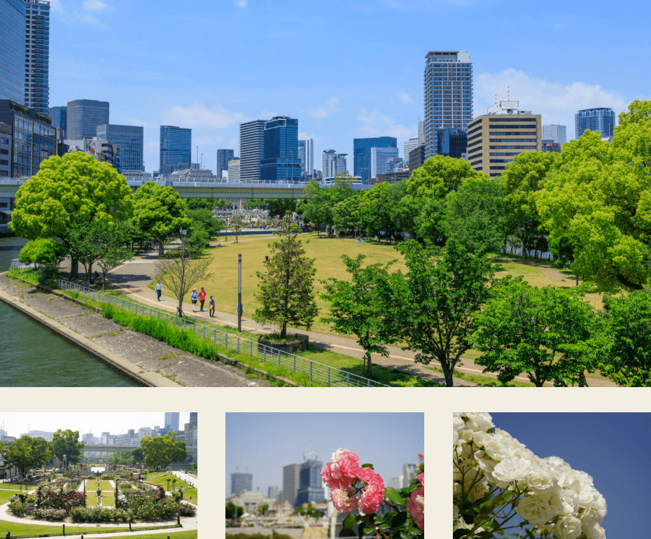 【大阪市】中之島公園