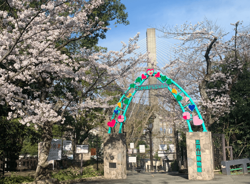 【大阪市】五月山公園