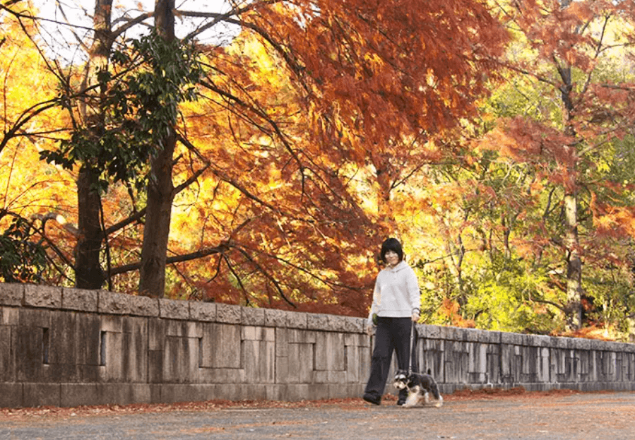 【大阪市】大泉緑地
