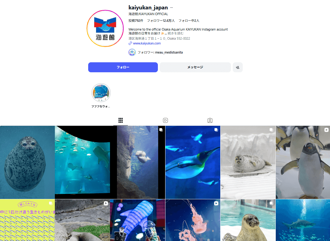 【大阪市】海遊館