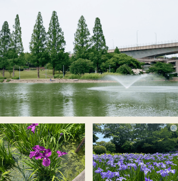 【大阪市】城北公園