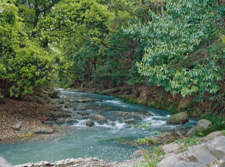 【大阪市】ホタルの故郷 山中渓