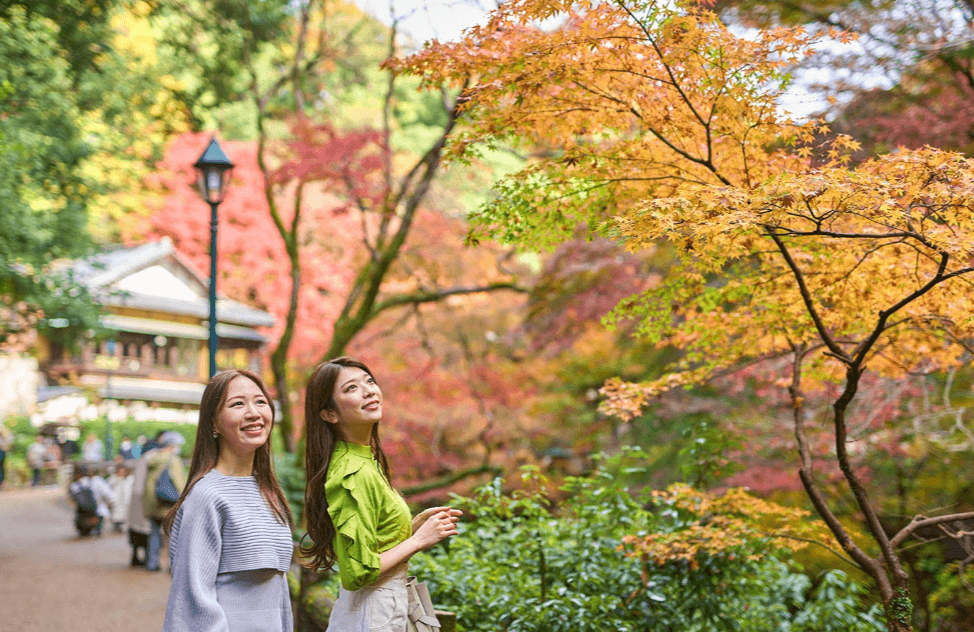 【大阪市】明治の森 箕面国定公園