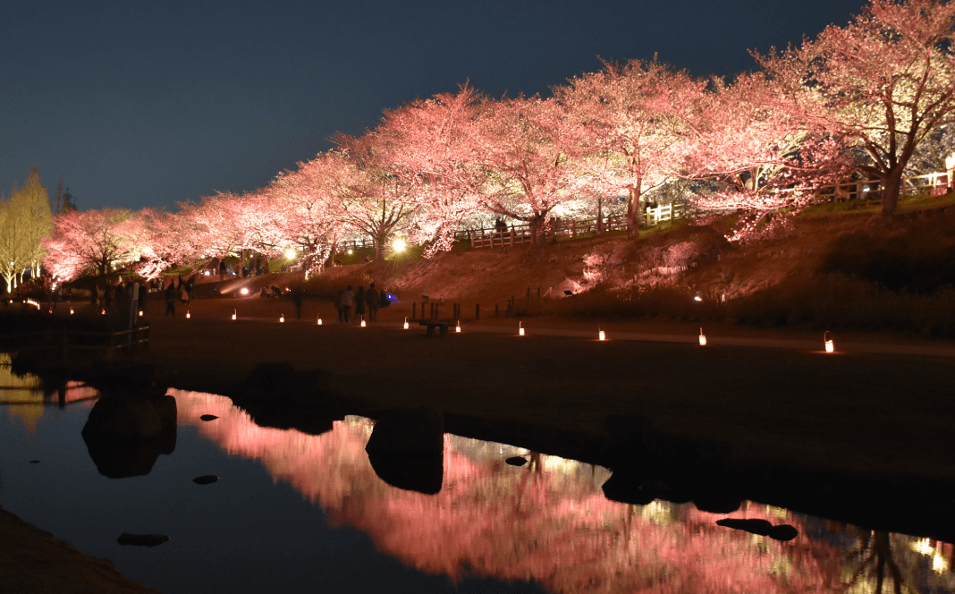 【大阪市】打上川治水緑地
