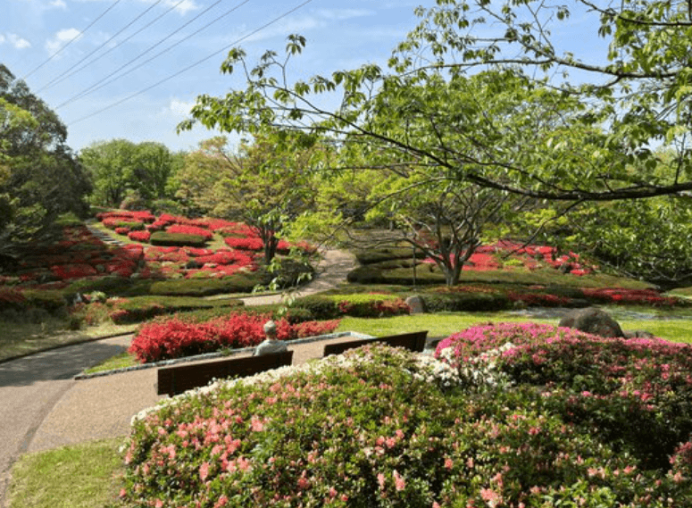 【大阪市】大阪府営 錦織公園