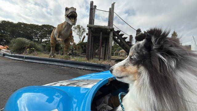 【伊東市】伊豆ぐらんぱる公園