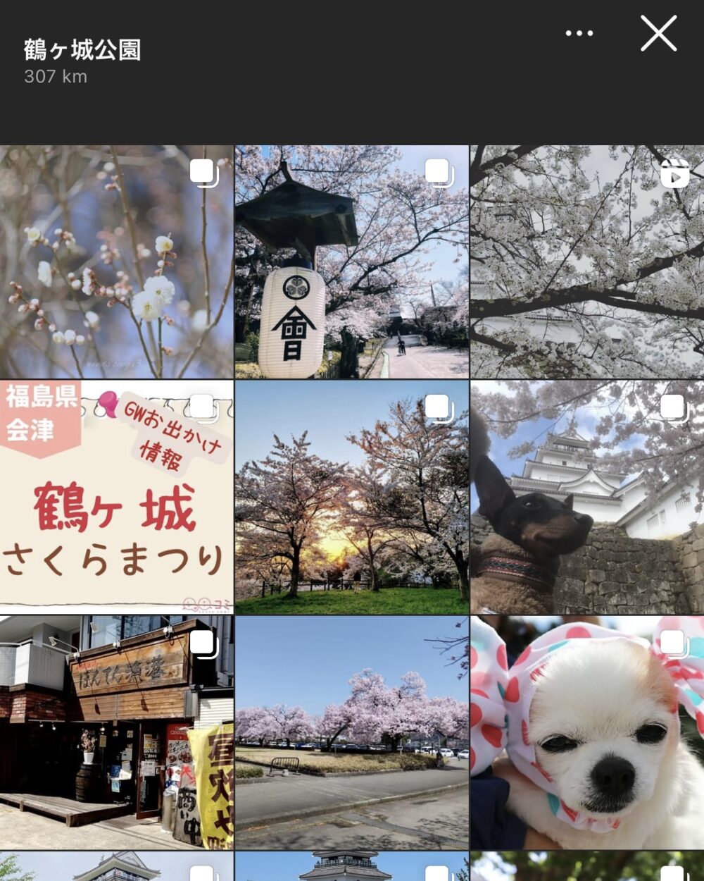 【福島県】鶴ヶ城公園