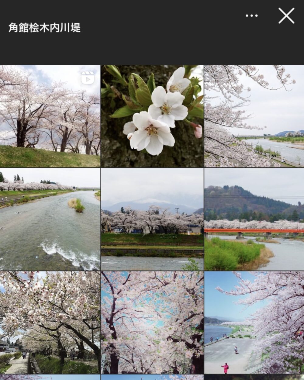 【秋田県】桧木内川堤