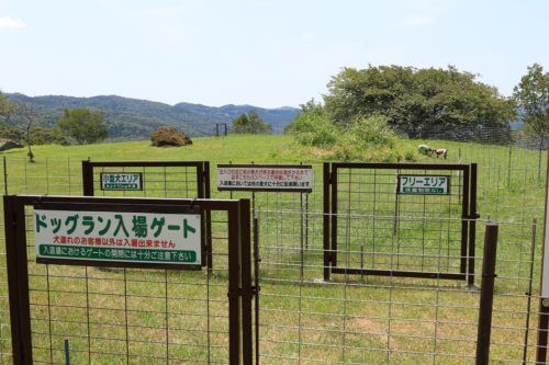 【海南市】黒沢牧場